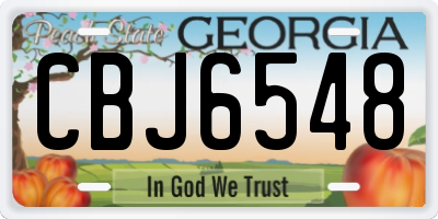 GA license plate CBJ6548