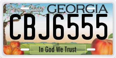 GA license plate CBJ6555