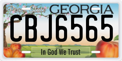 GA license plate CBJ6565
