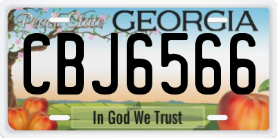 GA license plate CBJ6566