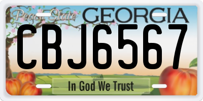 GA license plate CBJ6567