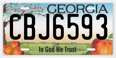 GA license plate CBJ6593
