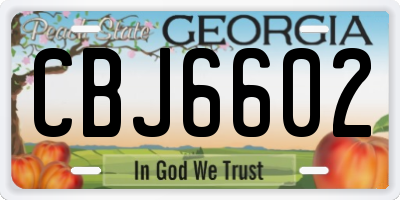 GA license plate CBJ6602
