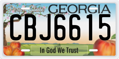 GA license plate CBJ6615