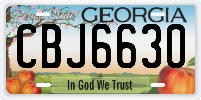 GA license plate CBJ6630