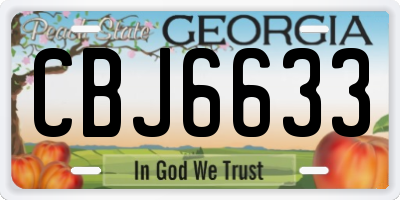 GA license plate CBJ6633