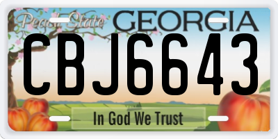 GA license plate CBJ6643