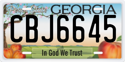 GA license plate CBJ6645