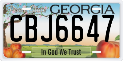GA license plate CBJ6647
