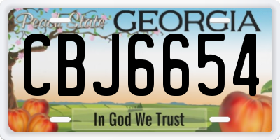 GA license plate CBJ6654