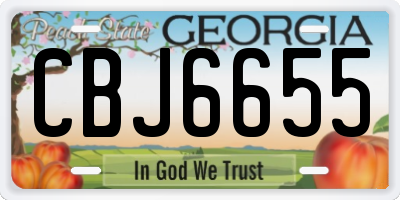 GA license plate CBJ6655