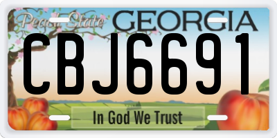 GA license plate CBJ6691