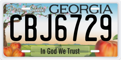 GA license plate CBJ6729