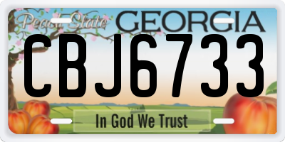 GA license plate CBJ6733