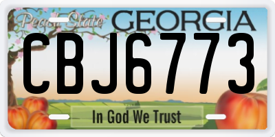 GA license plate CBJ6773