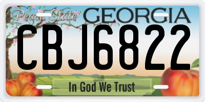 GA license plate CBJ6822
