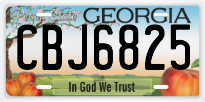 GA license plate CBJ6825