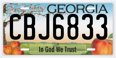 GA license plate CBJ6833