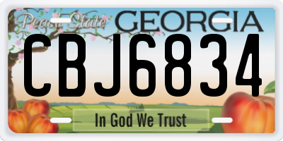 GA license plate CBJ6834
