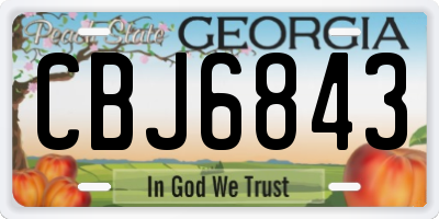 GA license plate CBJ6843