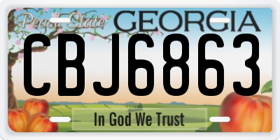 GA license plate CBJ6863