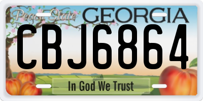 GA license plate CBJ6864