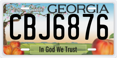 GA license plate CBJ6876