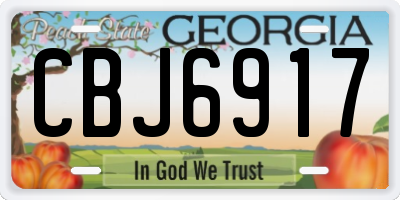 GA license plate CBJ6917