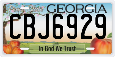 GA license plate CBJ6929