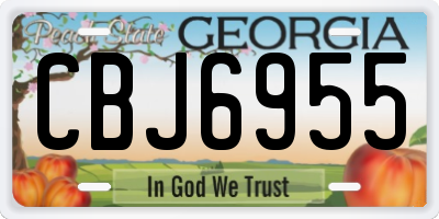 GA license plate CBJ6955