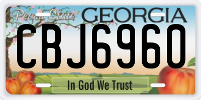 GA license plate CBJ6960