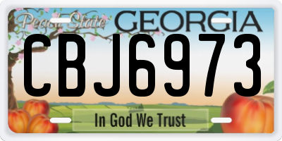 GA license plate CBJ6973