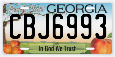 GA license plate CBJ6993