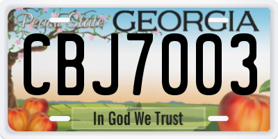 GA license plate CBJ7003