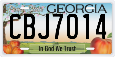 GA license plate CBJ7014