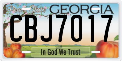 GA license plate CBJ7017
