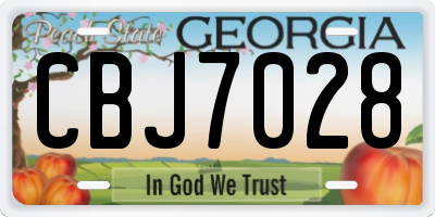 GA license plate CBJ7028