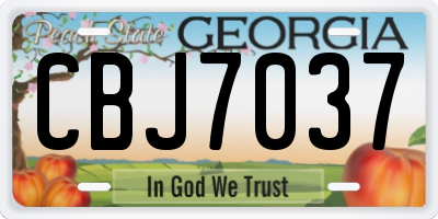 GA license plate CBJ7037