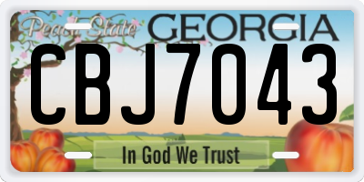 GA license plate CBJ7043