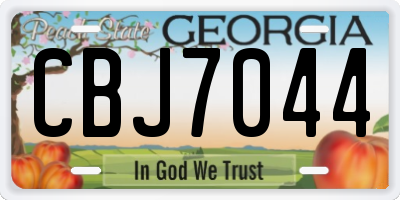 GA license plate CBJ7044