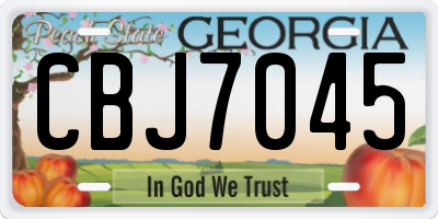 GA license plate CBJ7045