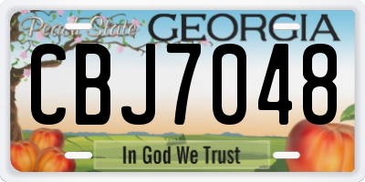 GA license plate CBJ7048