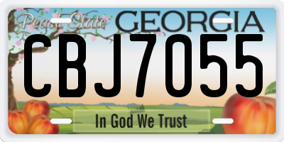 GA license plate CBJ7055