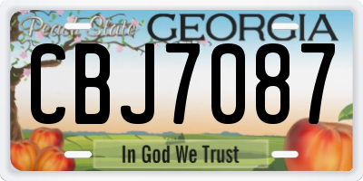 GA license plate CBJ7087