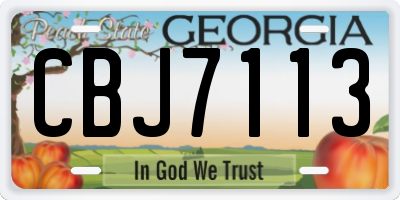 GA license plate CBJ7113