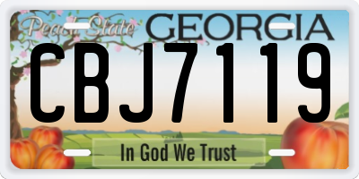 GA license plate CBJ7119