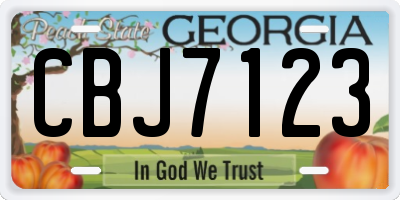 GA license plate CBJ7123