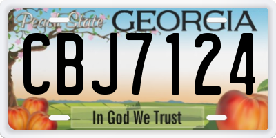 GA license plate CBJ7124