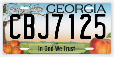 GA license plate CBJ7125