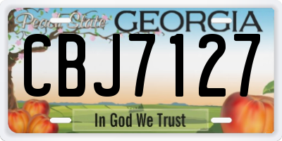 GA license plate CBJ7127